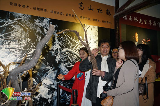 【中国梦·大国工匠篇】“中国根书第一人”杨玉冰:半载独创根之舞,只为把根留住 【中国梦·大国工匠篇】“中国根书第一人”杨玉冰:半载独创根之舞,只为把根留住