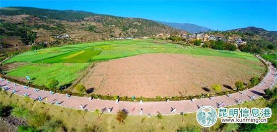 航拍的太极图里打太极。图片来自云龙光影 航拍的太极图里打太极。图片来自云龙光影