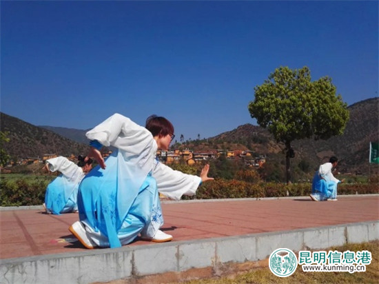 各代表队正专注地进行太极表演。图片来自云龙光影 各代表队正专注地进行太极表演。图片来自云龙光影