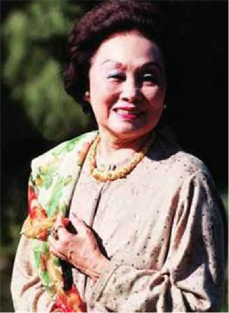 中美“友好使者”陈香梅去世 云南省飞虎队研究会致唁电