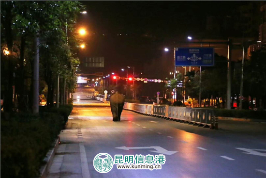 未成年独象误入普洱城区 当地动用无人机将其引回森林 未成年独象误入普洱城区 当地动用无人机将其引回森林
