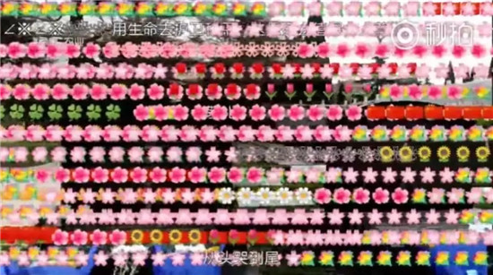 他们送别烈士时没有鲜花,却被弹幕暖哭了! 他们送别烈士时没有鲜花,却被弹幕暖哭了!