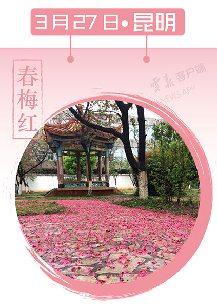 当云南春色遇到中国传统颜色 到底哪一“色”最撩你心？