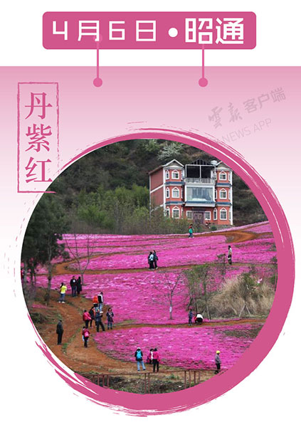 当云南春色遇到中国传统颜色 到底哪一“色”最撩你心？