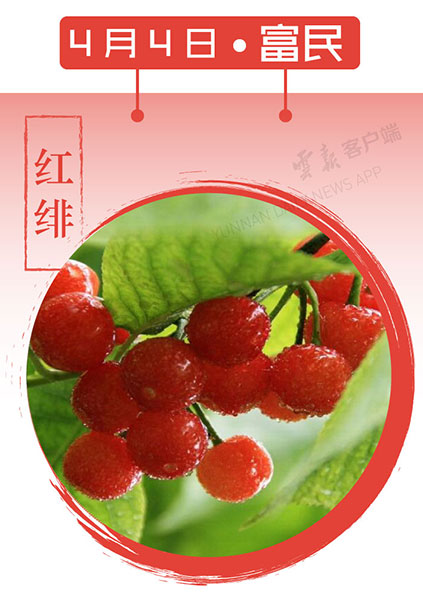 当云南春色遇到中国传统颜色 到底哪一“色”最撩你心？