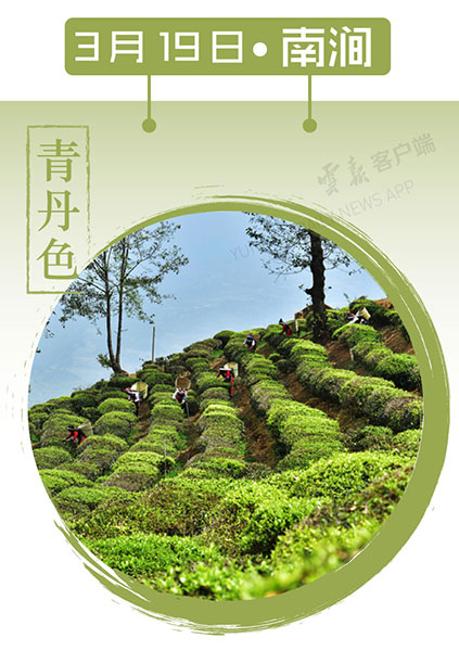 当云南春色遇到中国传统颜色 到底哪一“色”最撩你心？