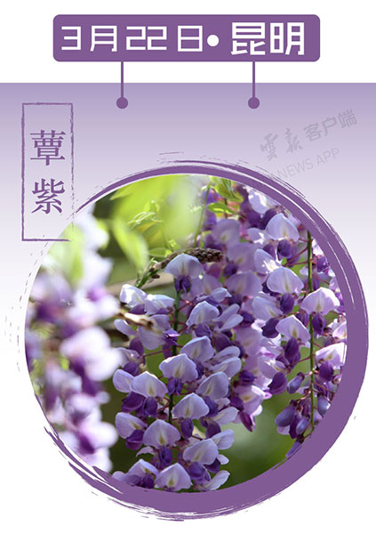 当云南春色遇到中国传统颜色 到底哪一“色”最撩你心？