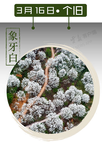 当云南春色遇到中国传统颜色 到底哪一“色”最撩你心？