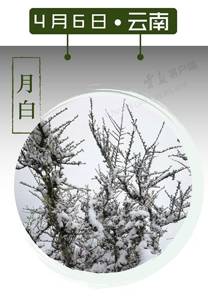 当云南春色遇到中国传统颜色 到底哪一“色”最撩你心？