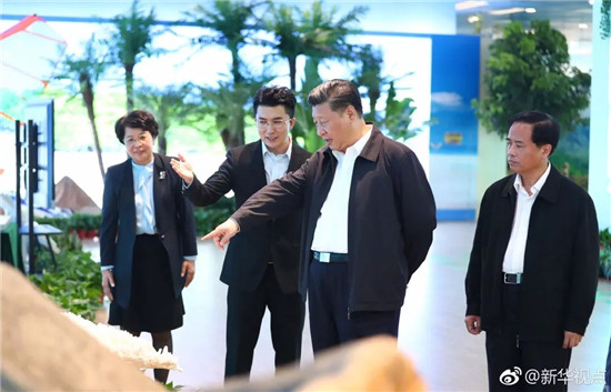 习近平:贯彻党中央精神不是喊口号 习近平:贯彻党中央精神不是喊口号