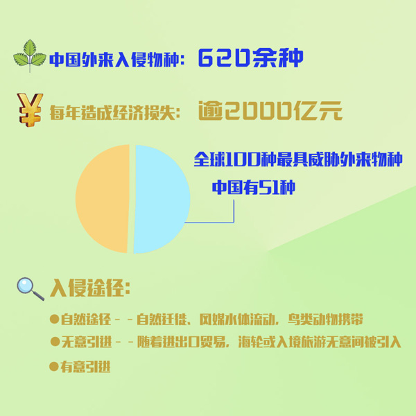 国家安全教育日：行李箱关乎国家安全，你了解多少？