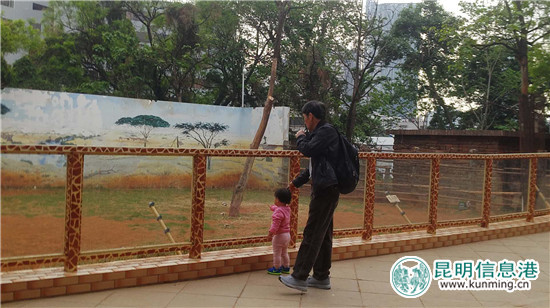 长颈鹿“海荣”之死追踪:应激反应导致窒息死亡 有望制成长颈鹿标本 长颈鹿“海荣”之死追踪:应激反应导致窒息死亡 有望制成长颈鹿标本