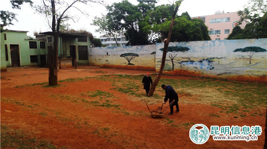 长颈鹿“海荣”之死追踪:应激反应导致窒息死亡 有望制成长颈鹿标本 长颈鹿“海荣”之死追踪:应激反应导致窒息死亡 有望制成长颈鹿标本