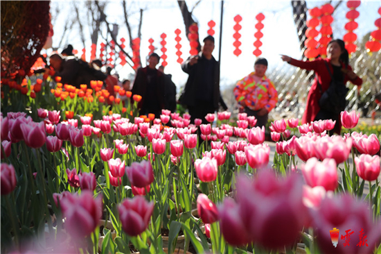 云南旅游“刮骨疗伤”这一年 记者 杨峥/摄 云南旅游“刮骨疗伤”这一年 记者 杨峥/摄