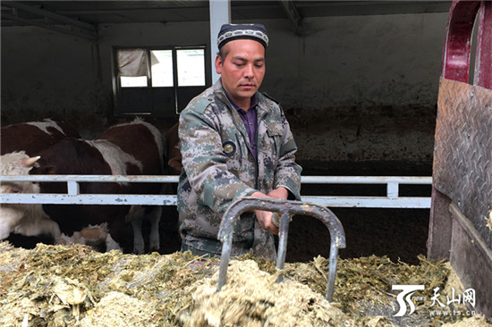 【摘掉“穷”帽子 走上致富路】“牛”老板和第一书记的“金点子”