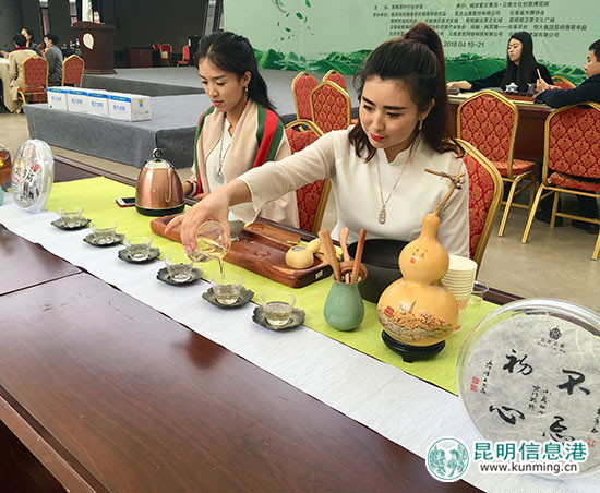 五位茶艺师沏泡普洱春茶 引八方茶客品茶论道