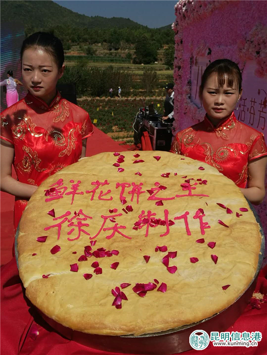 安宁八街9700亩玫瑰花热情绽放 邀你去当“采花大盗” 安宁八街9700亩玫瑰花热情绽放 邀你去当“采花大盗”