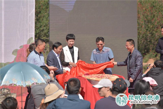 安宁八街9700亩玫瑰花热情绽放 邀你去当“采花大盗” 安宁八街9700亩玫瑰花热情绽放 邀你去当“采花大盗”