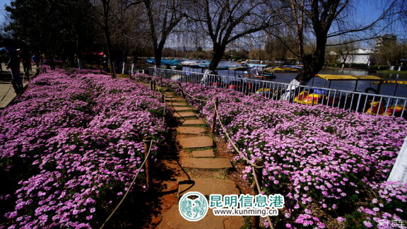 大观公园“三·八”节千张优惠门票献礼女神