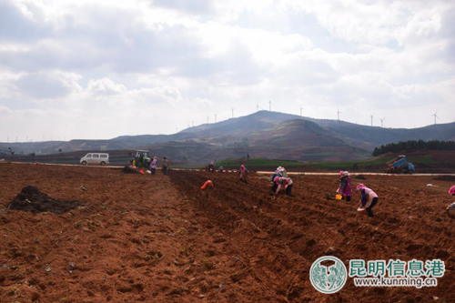 2017年六哨乡春耕农事生产中机械化操作 2017年六哨乡春耕农事生产中机械化操作