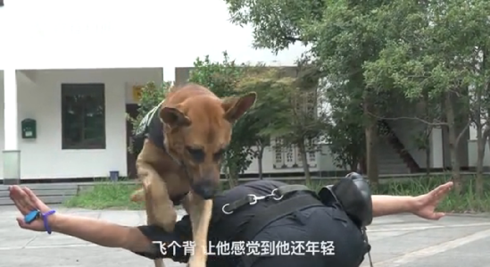 警犬养老院