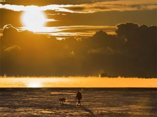 北美人民在暴风雪里快扛不住了 北美人民在暴风雪里快扛不住了