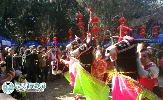 骑着小毛驴拜年。