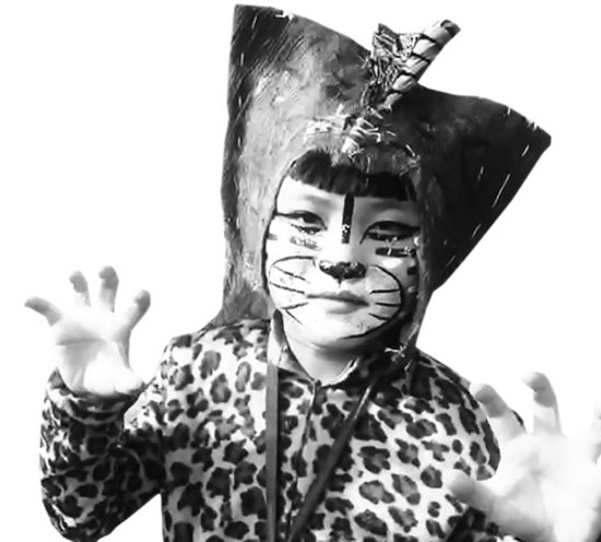 双柏彝族虎文化节 跳起世界古老图腾舞