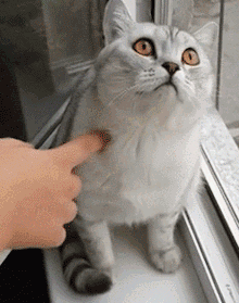 省考开考在即 快跳出题海总结经验