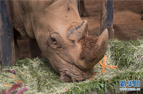 137482324_15374510650321n