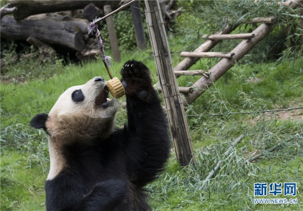 137482324_15374510653131n