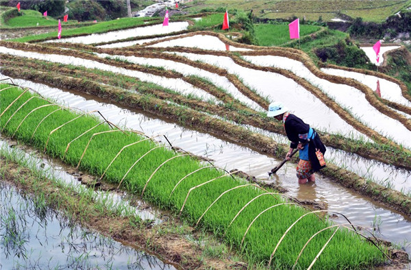 139457022_16032864398591n_副本