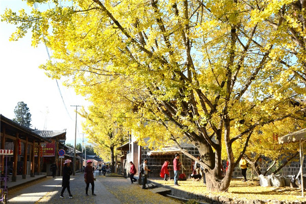 139459599_16033713450641n_副本 139459599_16033713450641n_副本