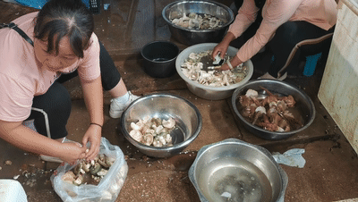 20210716065536458 20210716065536458