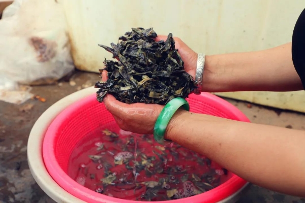 20210716065618798 20210716065618798