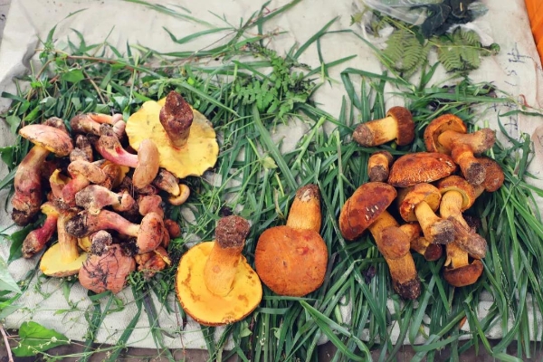 20210716065618907 20210716065618907