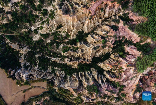 1310317427_16371913470371n