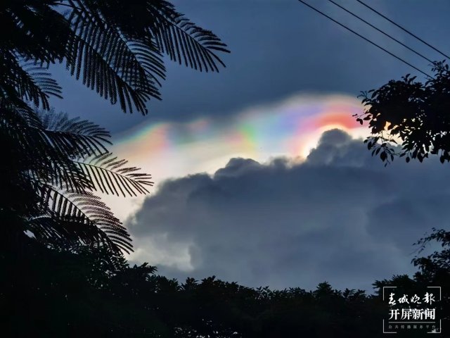 1107947_2048x2048 1107947_2048x2048