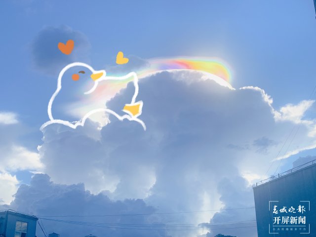 1107950_2048x2048 1107950_2048x2048