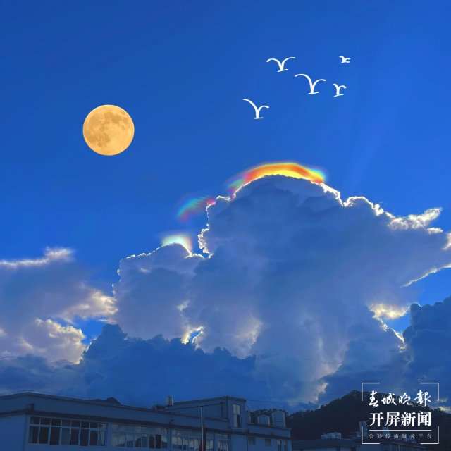 1107951_2048x2048 1107951_2048x2048