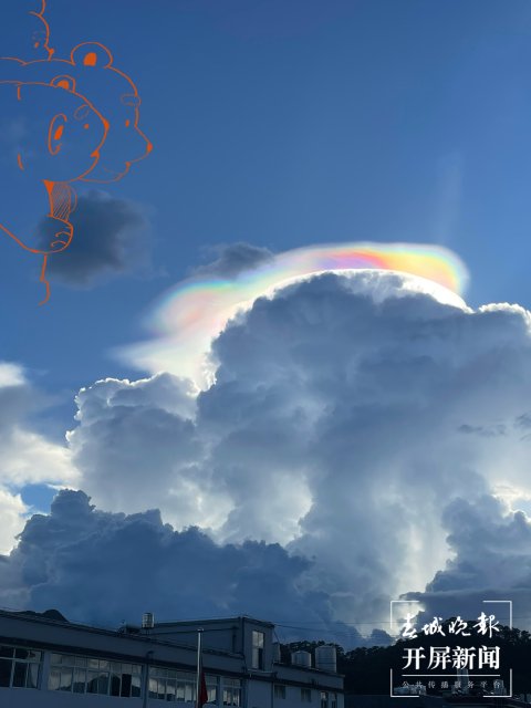 1107954_2048x2048 1107954_2048x2048