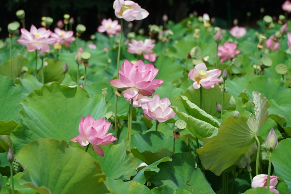 微信图片_20230711103708