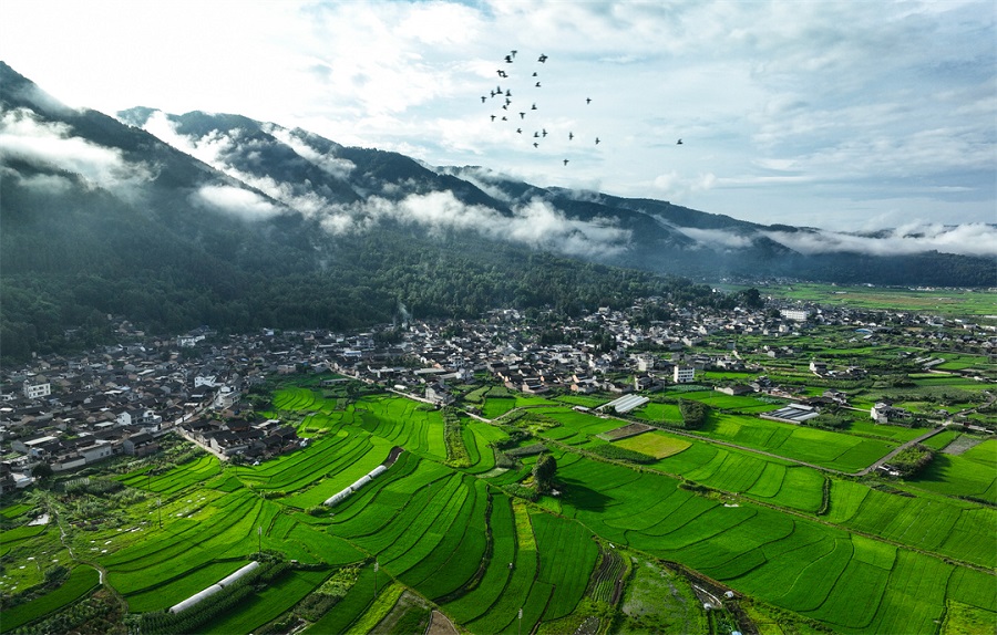 1486167_2048x2048 1486167_2048x2048