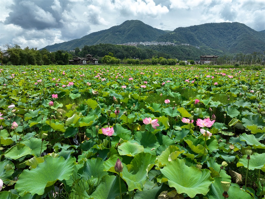 1486168_2048x2048 1486168_2048x2048