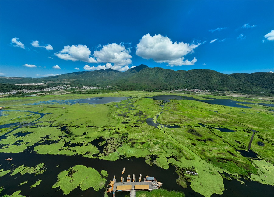 1486171_2048x2048 1486171_2048x2048