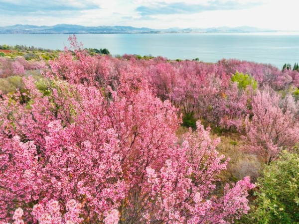 WechatIMG933.jpg WechatIMG933.jpg