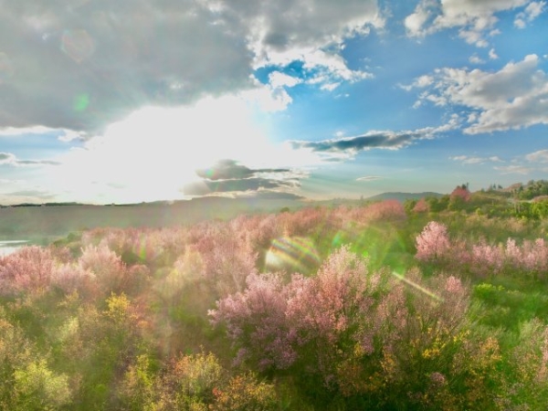 WechatIMG937.jpg WechatIMG937.jpg