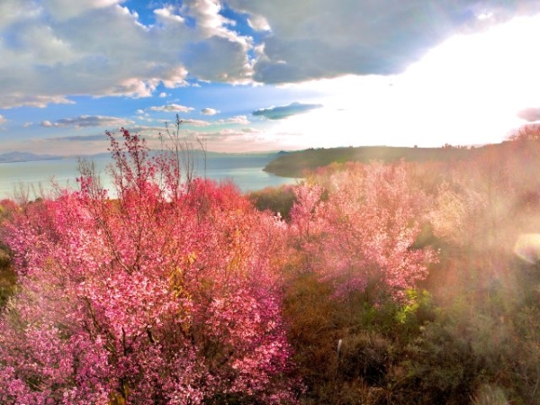 WechatIMG938.jpg WechatIMG938.jpg