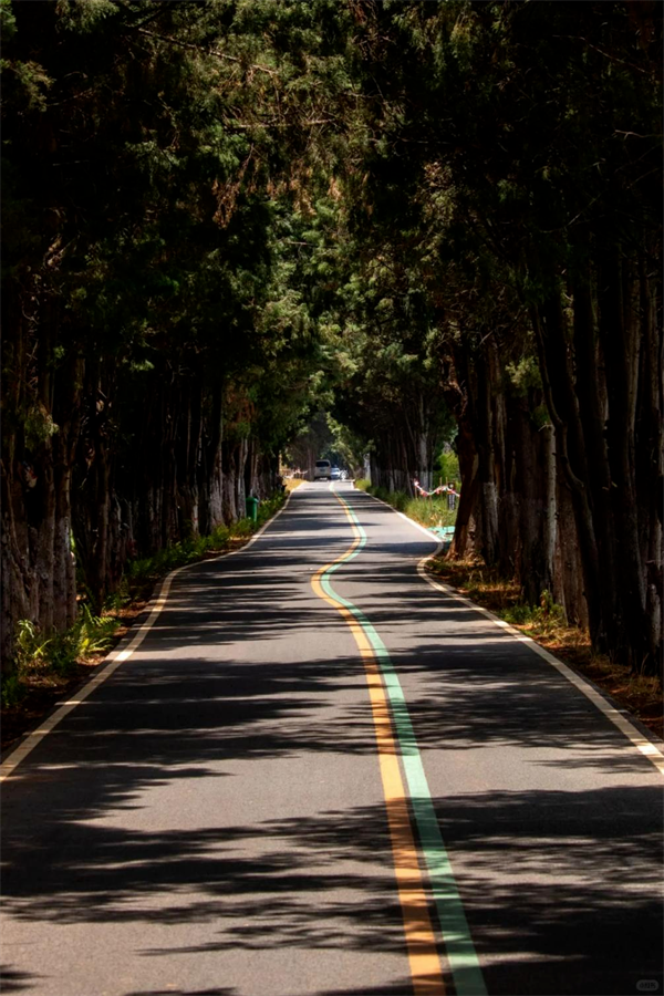 imgi_4_640 imgi_4_640