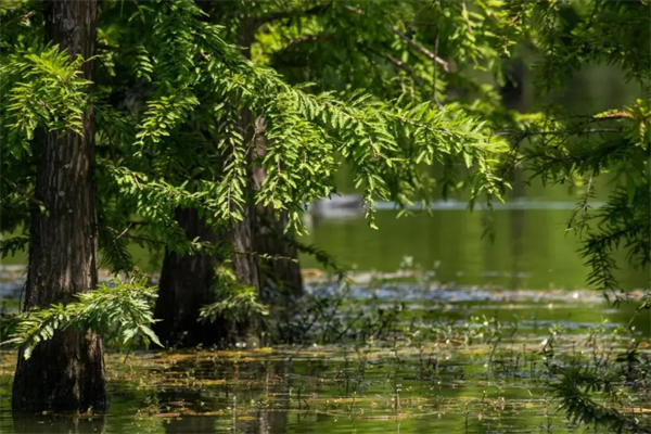 imgi_5_640 imgi_5_640